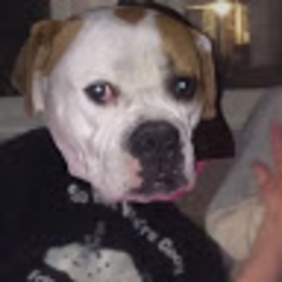 Meet your Posher, Devin - Picture 1 of 1